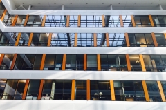 Vernissage in Straßburg am 8. September 2017